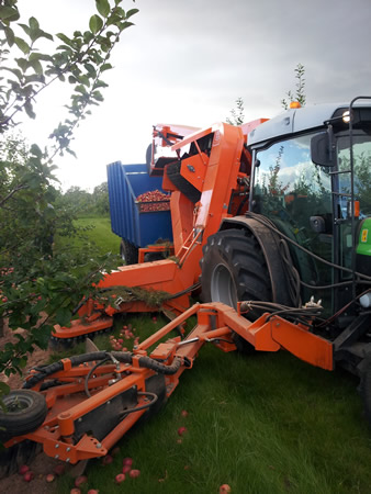 Centipede Apple Harvester