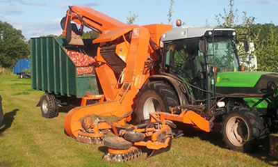 Tuthill Model 2015 Centipede Apple Harvester