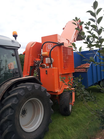 Centipede Apple Harvester