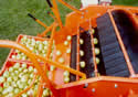 Tuthill Fruit Harvester