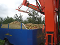 Centipede Apple Harvester